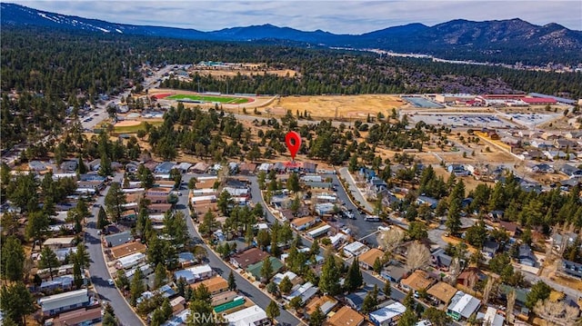 391 Montclair Dr Unit 32, Big Bear City, CA 92314 - photo 9