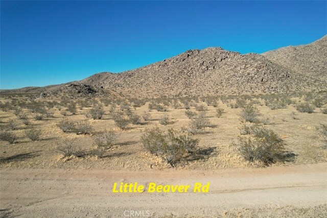 11 Little Beaver Rd, Apple Valley, CA 92307 - photo 5