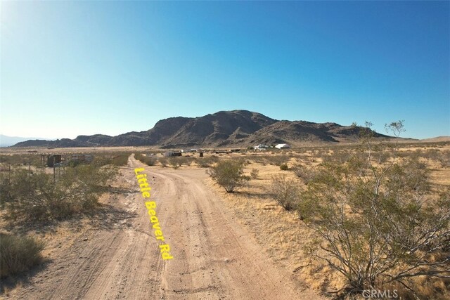 11 Little Beaver Rd, Apple Valley, CA 92307 - photo 11