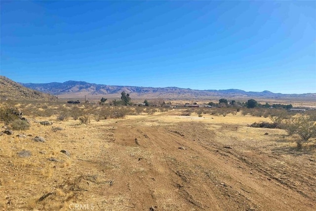 11 Little Beaver Rd, Apple Valley, CA 92307 - photo 17