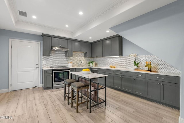 kitchen with stainless steel electric range oven, a sink, a raised ceiling, and under cabinet range hood