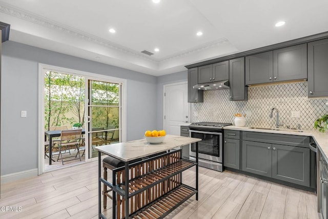 kitchen with a tray ceiling, decorative backsplash, stainless steel range oven, a sink, and under cabinet range hood