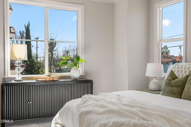 bedroom featuring carpet floors and radiator