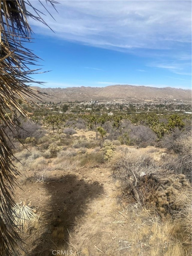 Listing photo 2 for 0 Desert Gold Dr, Yucca Valley CA 92284