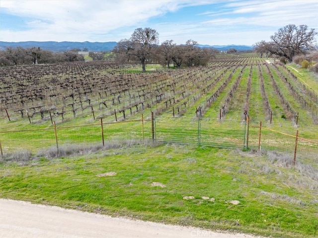 view of yard featuring fence, a mountain view, and a rural view