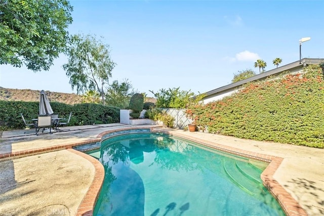 view of pool with a patio, a fenced backyard, and a fenced in pool