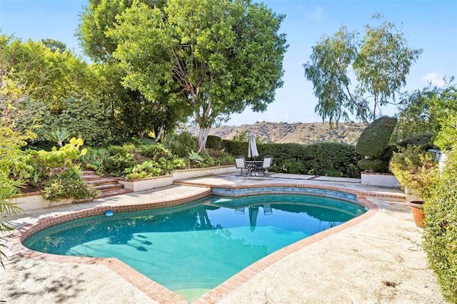 outdoor pool featuring a patio area