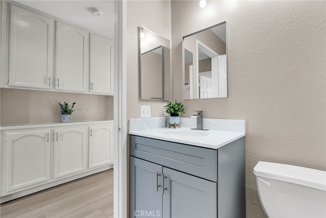 bathroom featuring toilet, vanity, wood finished floors, and a textured wall