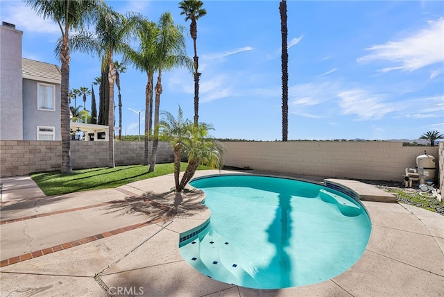 view of swimming pool featuring a patio area, a fenced backyard, and a fenced in pool