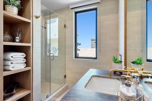 full bathroom featuring a shower stall and vanity