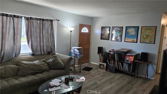 living room with baseboards and wood finished floors