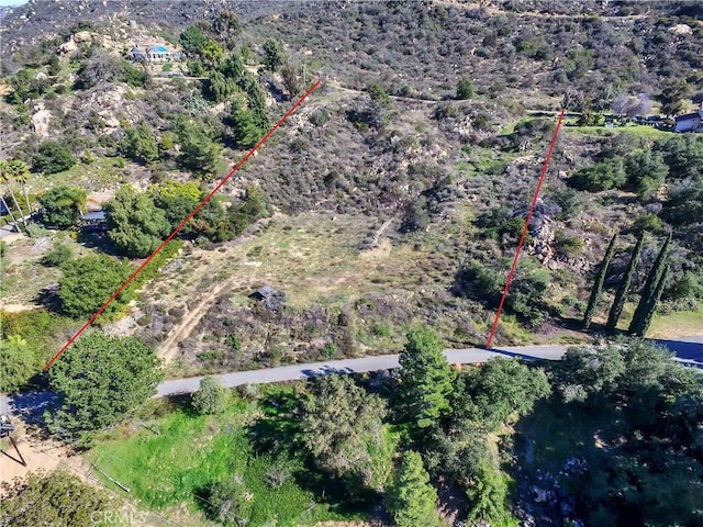 5540 Rainbow Heights Rd, Fallbrook, CA 92028 - photo 7