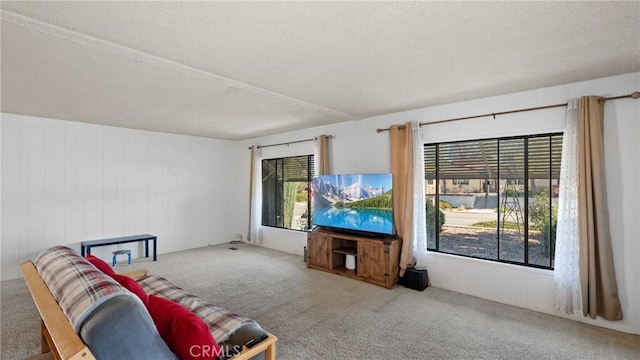 living area featuring a textured ceiling and carpet floors