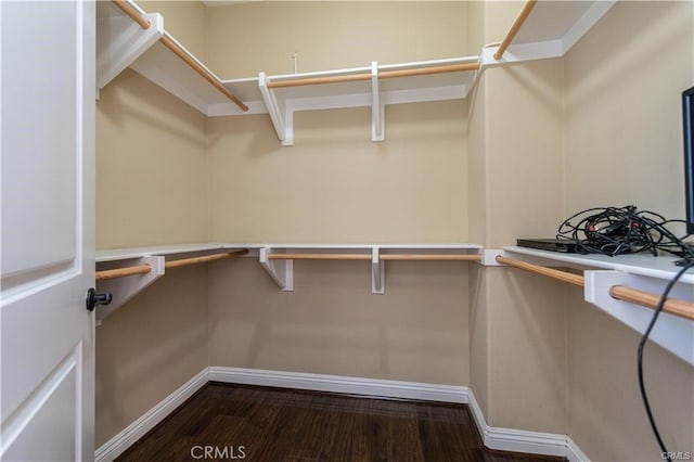 spacious closet featuring wood finished floors