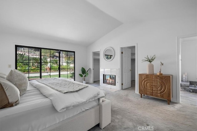 bedroom featuring high vaulted ceiling, access to outside, a glass covered fireplace, a walk in closet, and carpet