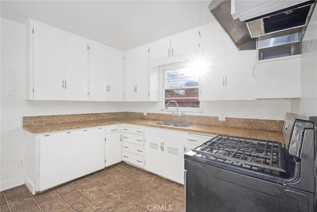 kitchen featuring white cabinetry, a sink, and under cabinet range hood