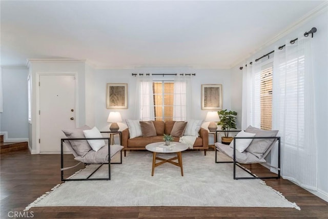 living area featuring ornamental molding, wood finished floors, and a wealth of natural light