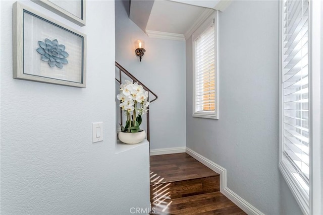 stairs featuring crown molding, baseboards, and wood finished floors