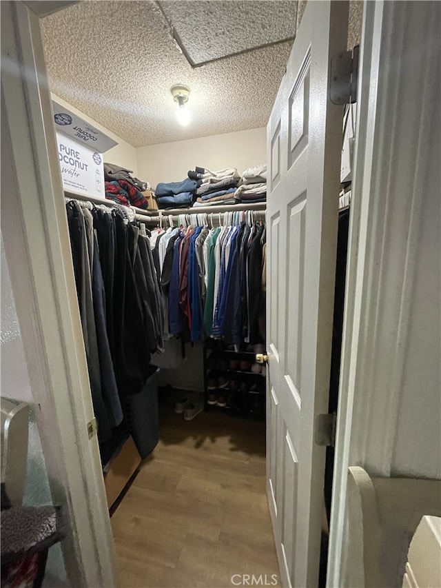 walk in closet featuring wood finished floors