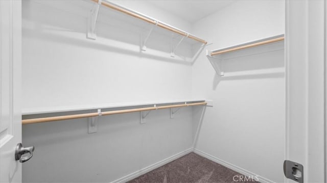 spacious closet with carpet flooring