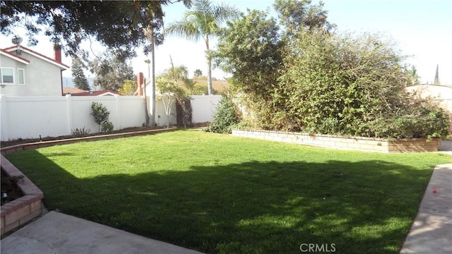 view of yard with a fenced backyard