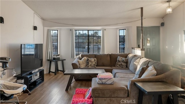 living room with a textured ceiling and wood finished floors