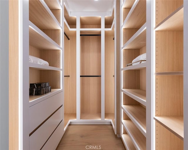 walk in closet with light wood-style flooring