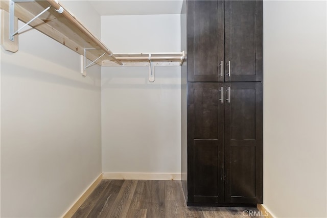 walk in closet with dark wood-type flooring