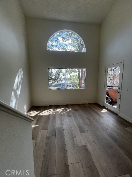 empty room with a textured ceiling, a towering ceiling, and wood finished floors