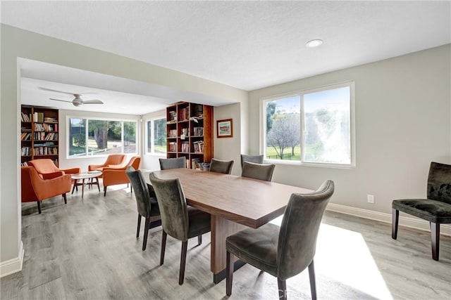 dining space featuring baseboards, plenty of natural light, light wood-style floors, and a ceiling fan