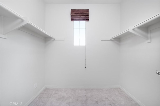 walk in closet with carpet floors