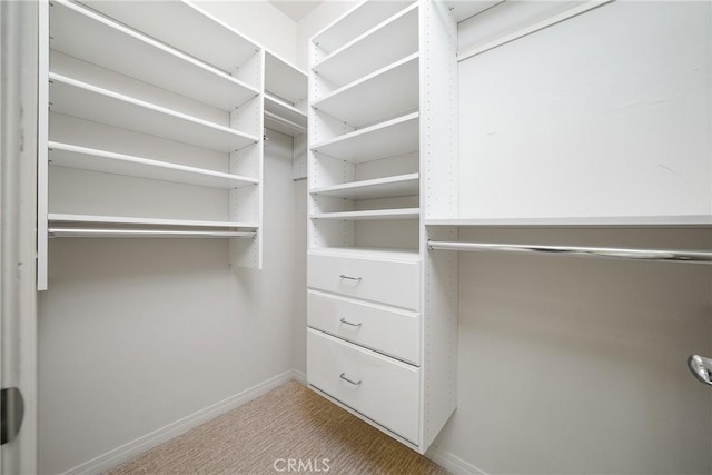 spacious closet with carpet flooring