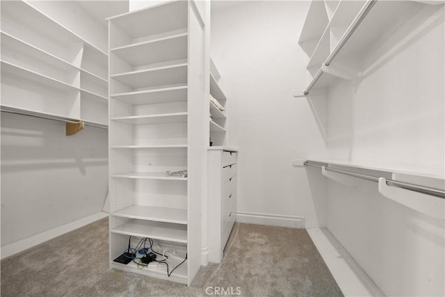 walk in closet featuring carpet