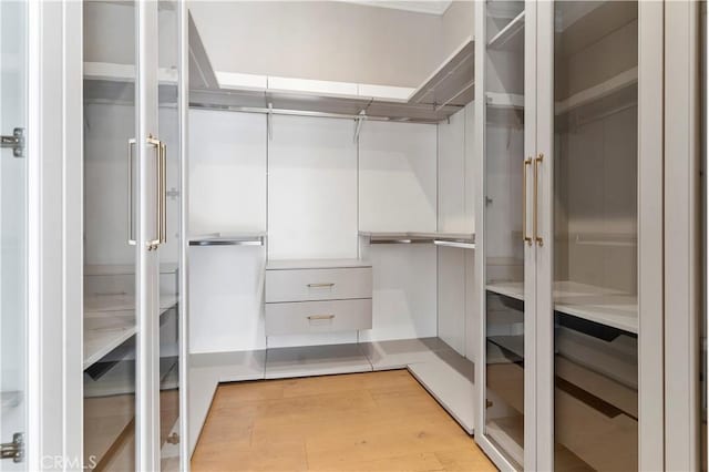 spacious closet featuring light wood-type flooring