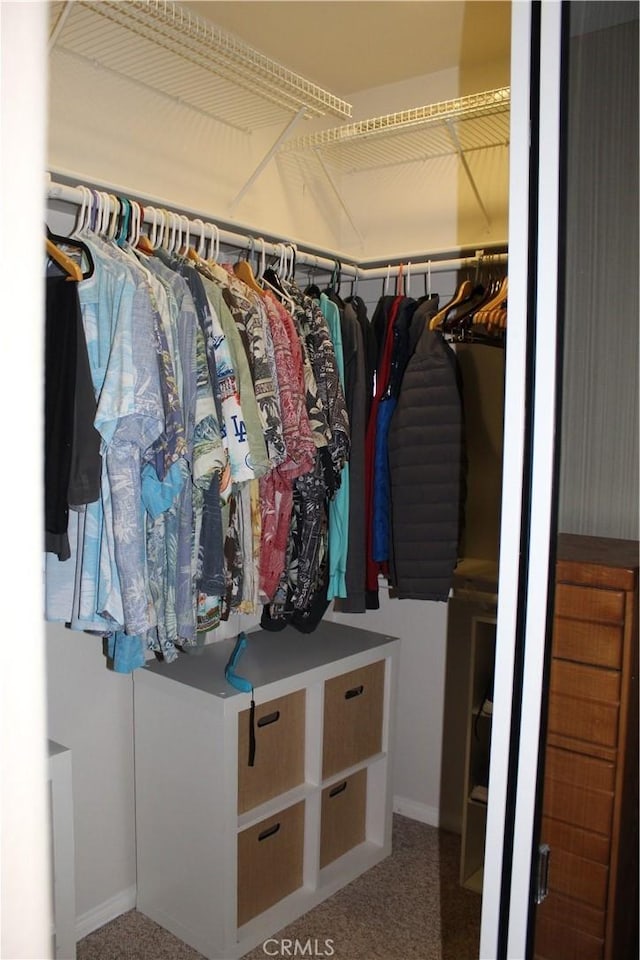 walk in closet featuring carpet flooring