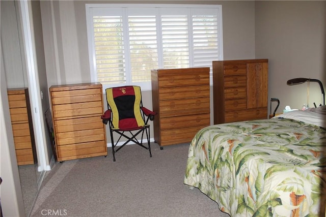 bedroom with carpet