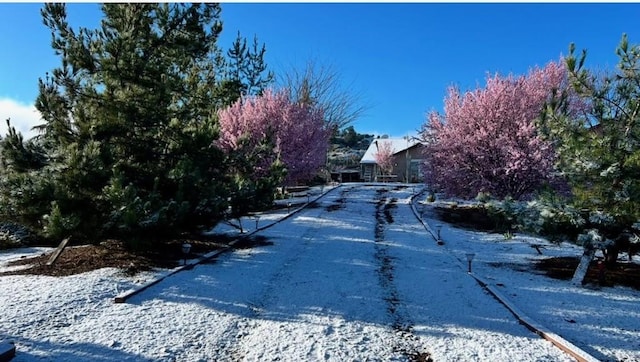 7575 Rancho Rd, Wrightwood, CA 92372 - view of asphalt road