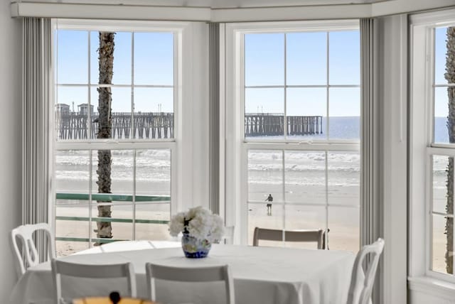 dining room featuring a healthy amount of sunlight