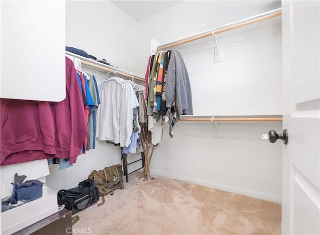 walk in closet featuring carpet