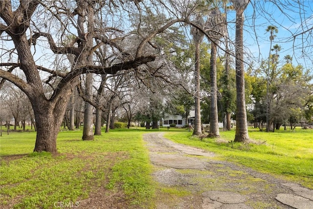 view of road featuring driveway