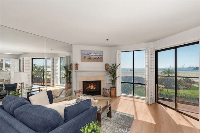 living room featuring a tile fireplace, plenty of natural light, and wood finished floors