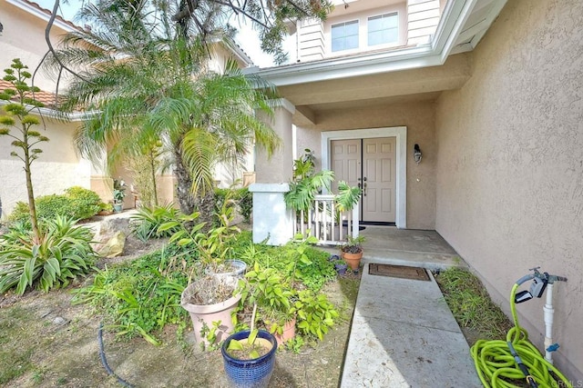 view of exterior entry with stucco siding