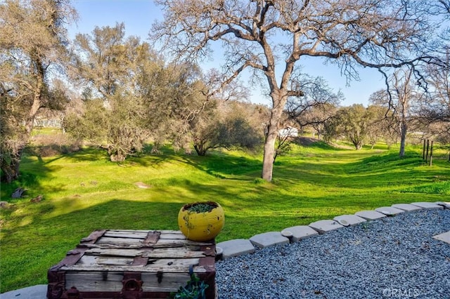 view of home's community with a yard