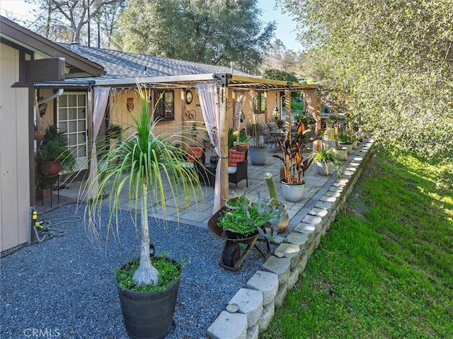 view of yard featuring a patio area