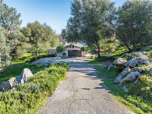 view of street featuring driveway