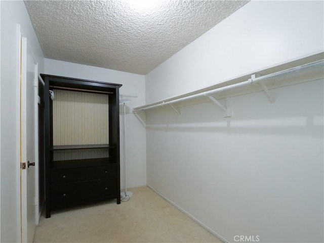 spacious closet with carpet