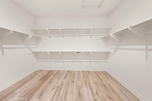 spacious closet featuring wood finished floors