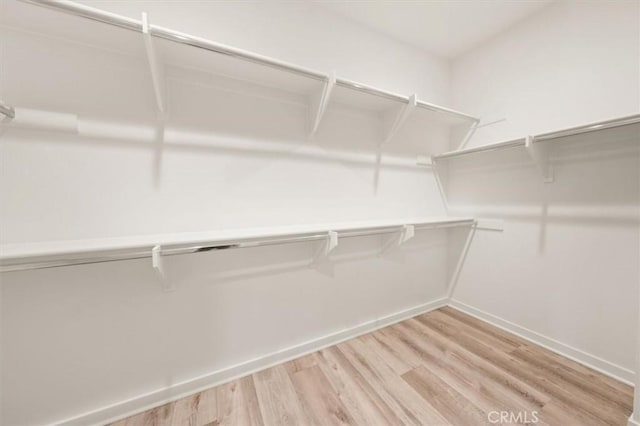 walk in closet with light wood-style flooring