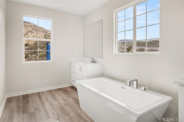 bathroom with a freestanding bath, baseboards, wood finished floors, and vanity