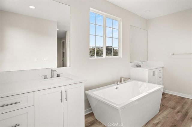 bathroom featuring two vanities, a sink, and wood finished floors